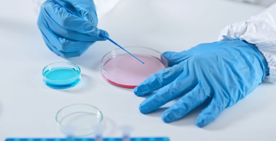 Laboratorios Novara