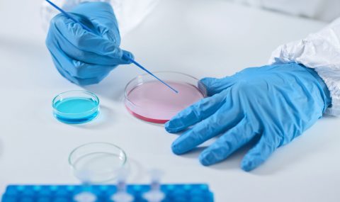 Laboratorios Novara