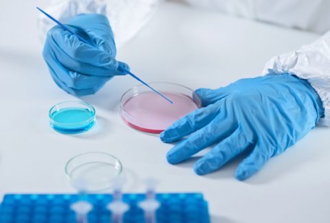 Laboratorios Novara